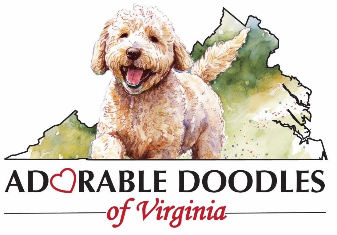 Adorable Doodles of Virginia